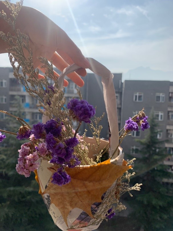 台湾三级片
